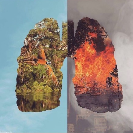 行至半山不停步，守護祖國的綠水青山